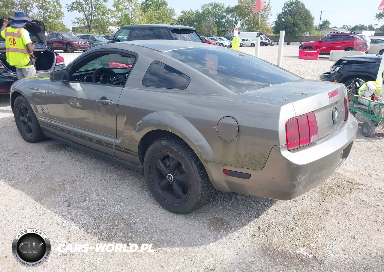 2005 Ford Mustang V6 Deluxe-V6 Premium VIN:1ZVFT80N855194618 - 3