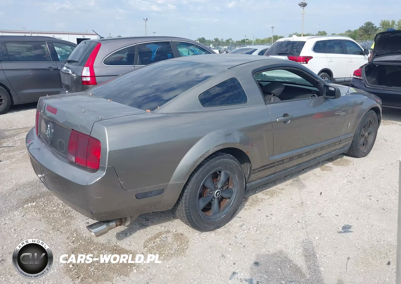 2005 Ford Mustang V6 Deluxe-V6 Premium VIN:1ZVFT80N855194618 - 4