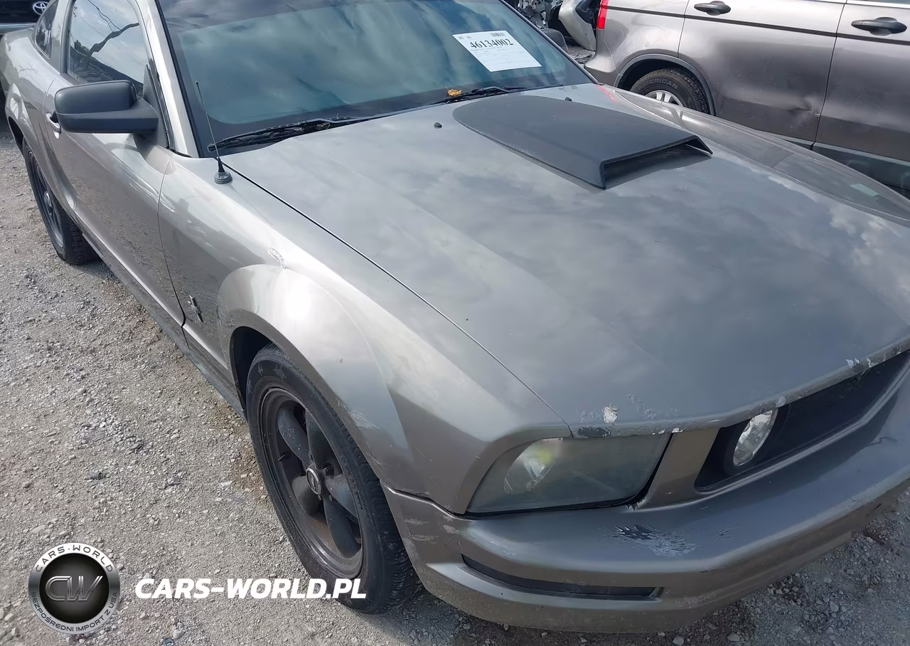 2005 Ford Mustang V6 Deluxe-V6 Premium VIN:1ZVFT80N855194618 - 6