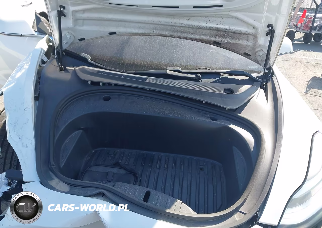 2020 Tesla Model 3 Standard Range Plus Rear-Wheel Drive-Standard Range Rear-Wheel Drive VIN:5YJ3E1EA8LF797951 - 10