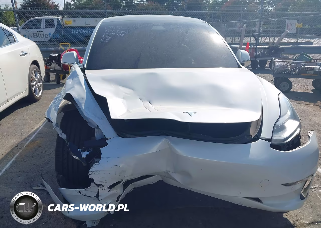 2020 Tesla Model 3 Standard Range Plus Rear-Wheel Drive-Standard Range Rear-Wheel Drive VIN:5YJ3E1EA8LF797951 - 11