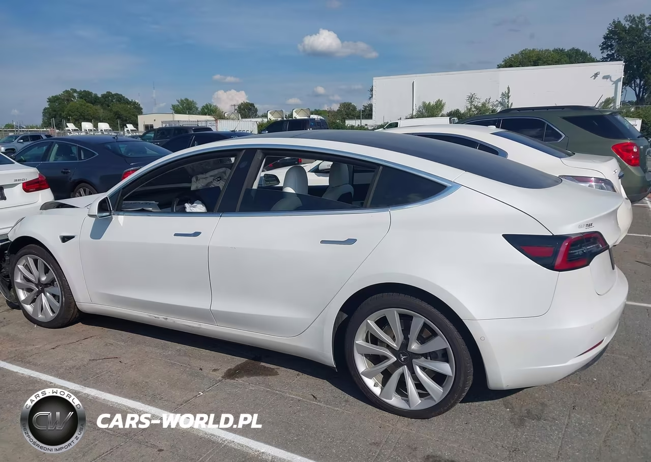 2020 Tesla Model 3 Standard Range Plus Rear-Wheel Drive-Standard Range Rear-Wheel Drive VIN:5YJ3E1EA8LF797951 - 13