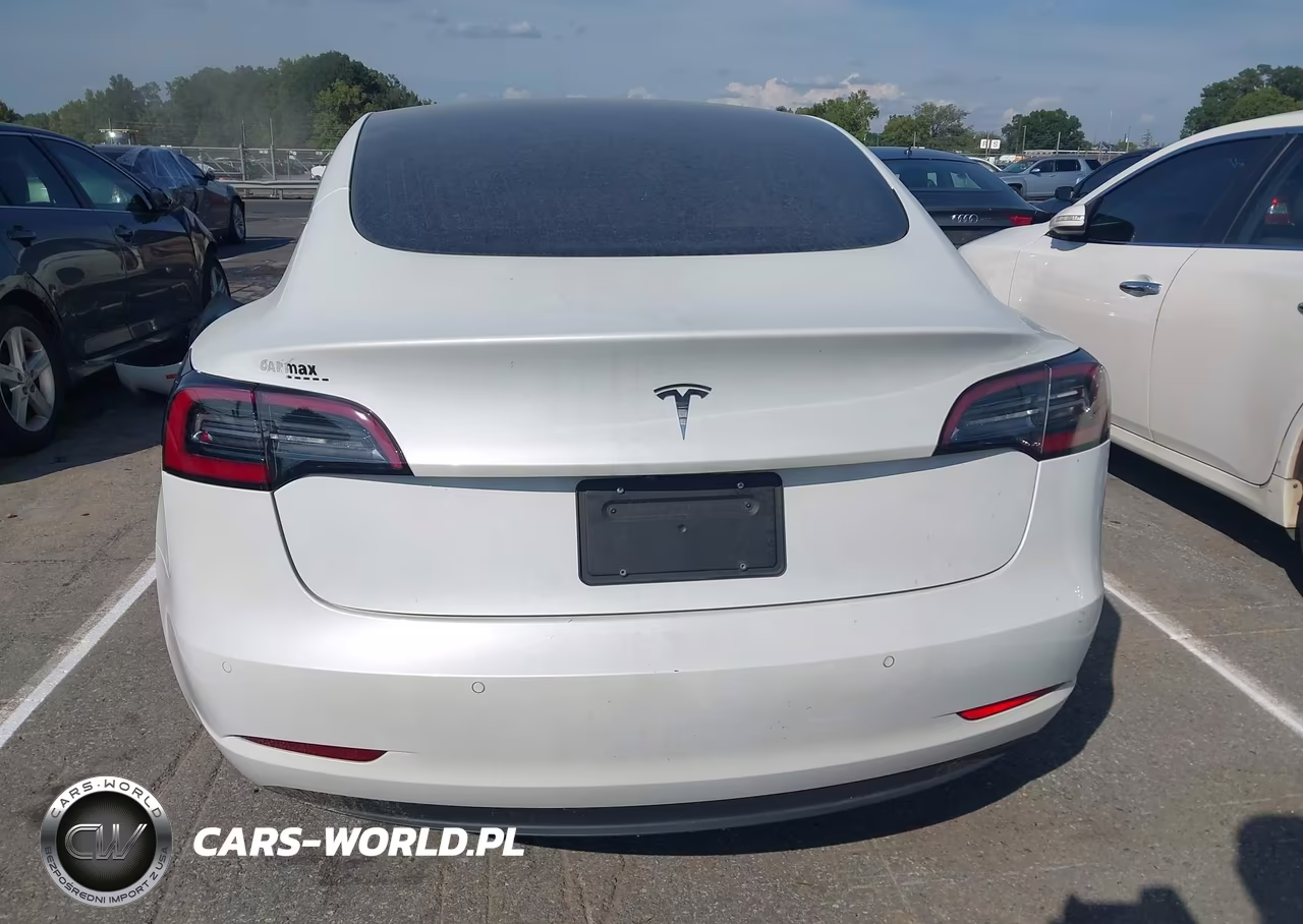 2020 Tesla Model 3 Standard Range Plus Rear-Wheel Drive-Standard Range Rear-Wheel Drive VIN:5YJ3E1EA8LF797951 - 15