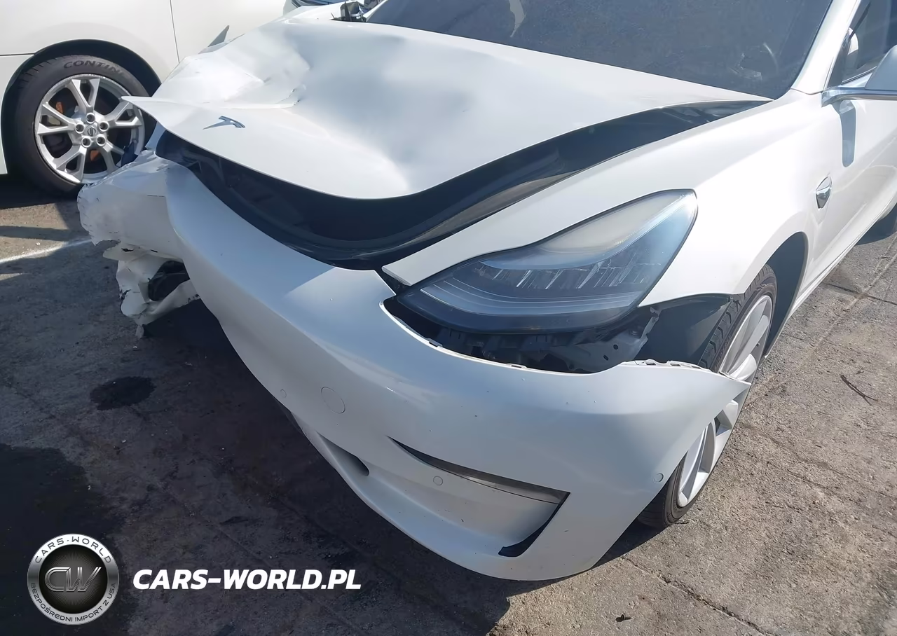 2020 Tesla Model 3 Standard Range Plus Rear-Wheel Drive-Standard Range Rear-Wheel Drive VIN:5YJ3E1EA8LF797951 - 18
