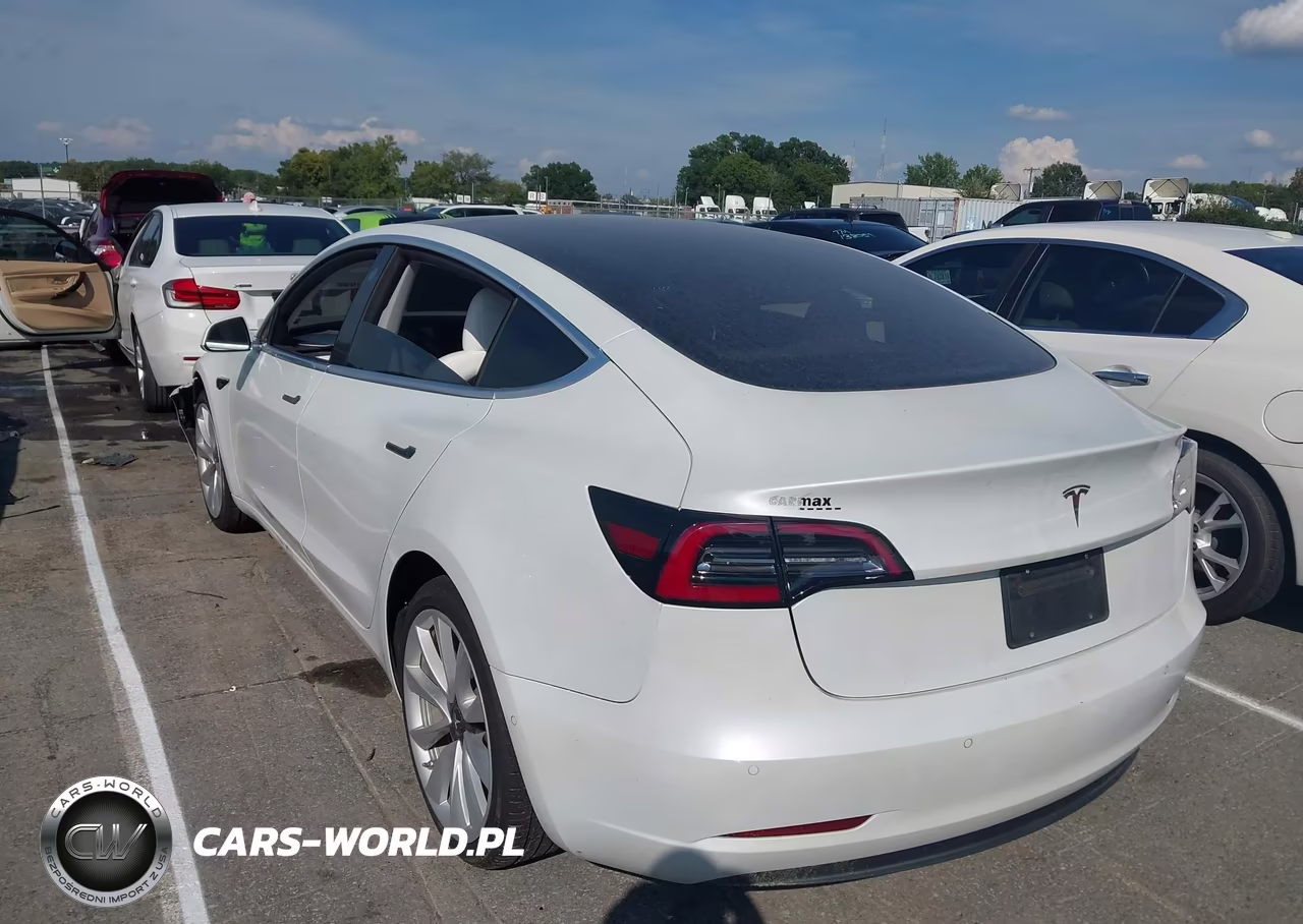 2020 Tesla Model 3 Standard Range Plus Rear-Wheel Drive-Standard Range Rear-Wheel Drive VIN:5YJ3E1EA8LF797951 - 3