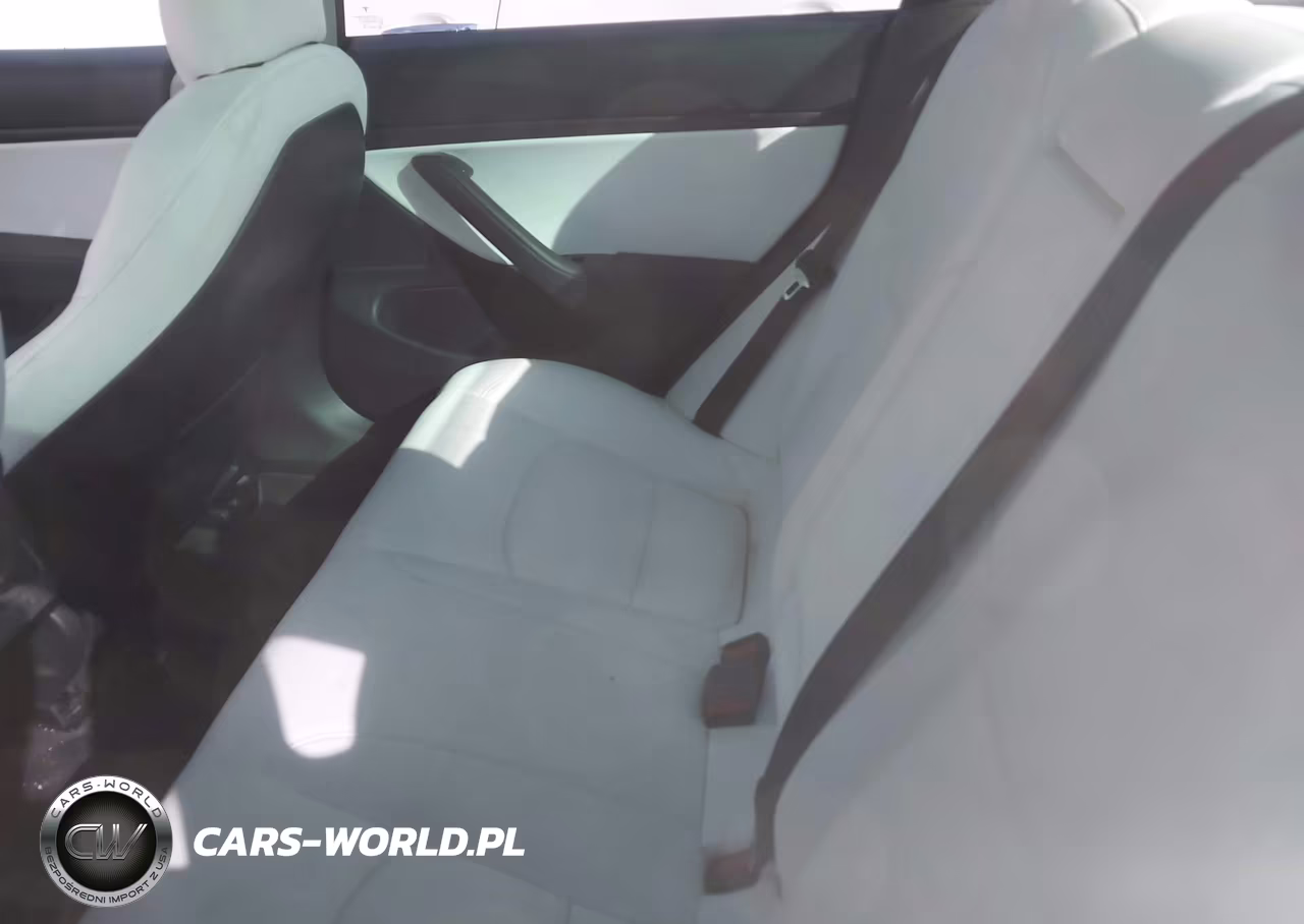 2020 Tesla Model 3 Standard Range Plus Rear-Wheel Drive-Standard Range Rear-Wheel Drive VIN:5YJ3E1EA8LF797951 - 8
