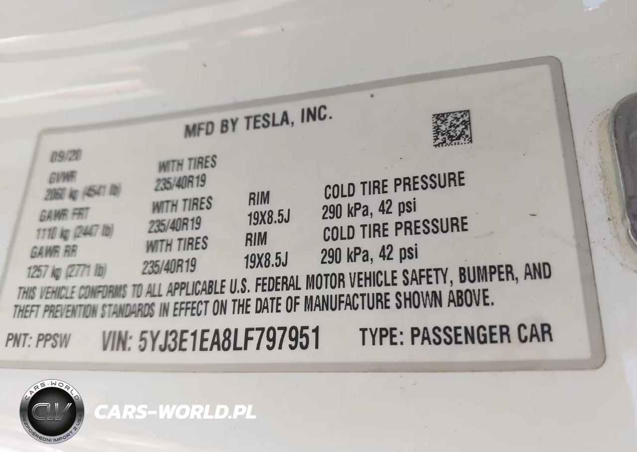 2020 Tesla Model 3 Standard Range Plus Rear-Wheel Drive-Standard Range Rear-Wheel Drive VIN:5YJ3E1EA8LF797951 - 9