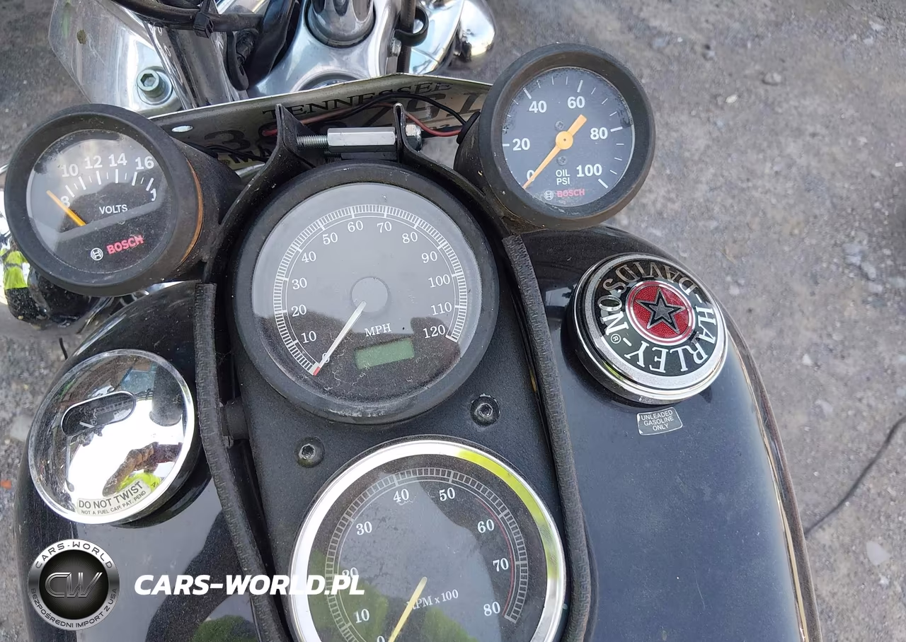 2001 Harley-Davidson Fxdl VIN:1HD1GDV151Y330677 - 7