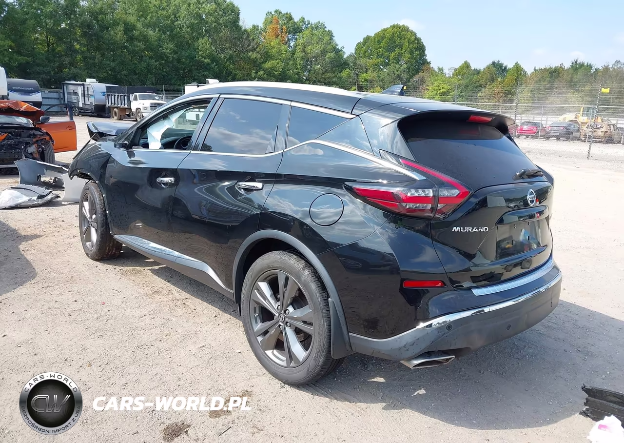 2019 Nissan Murano Platinum VIN:5N1AZ2MJXKN131673 - 3