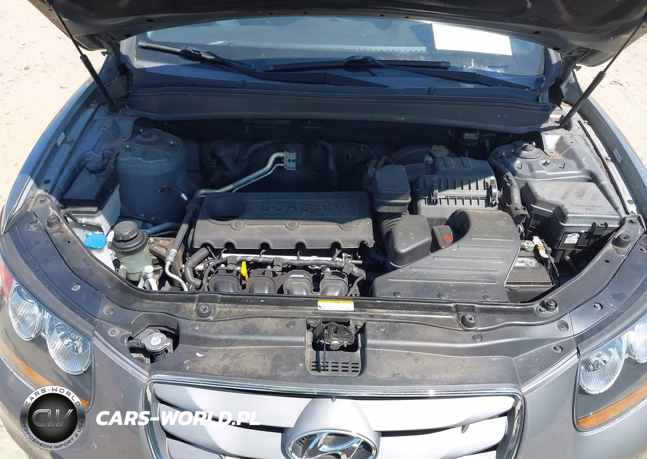 2010 Hyundai Santa Fe Gls VIN:5NMSG3AB9AH398266 - 10