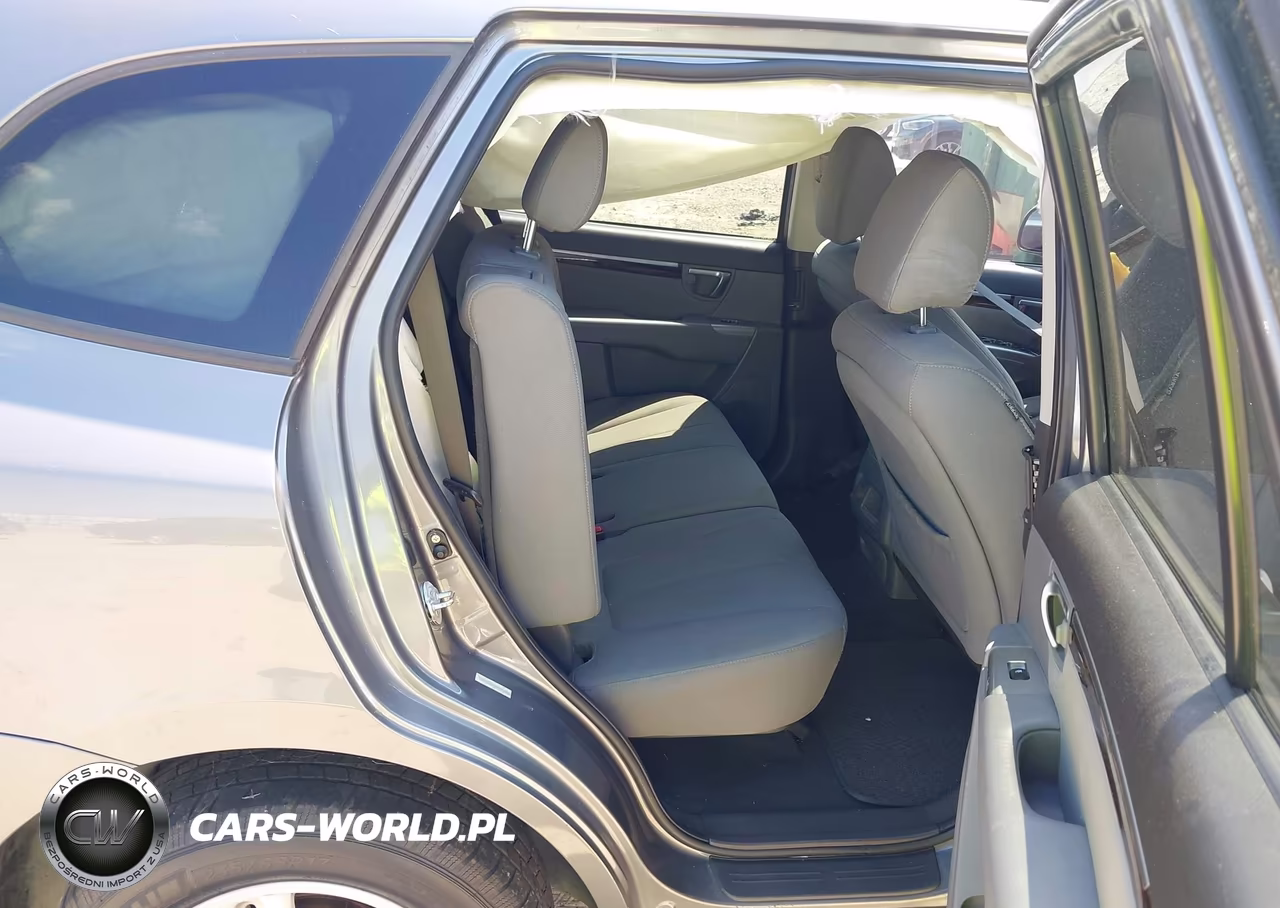 2010 Hyundai Santa Fe Gls VIN:5NMSG3AB9AH398266 - 8