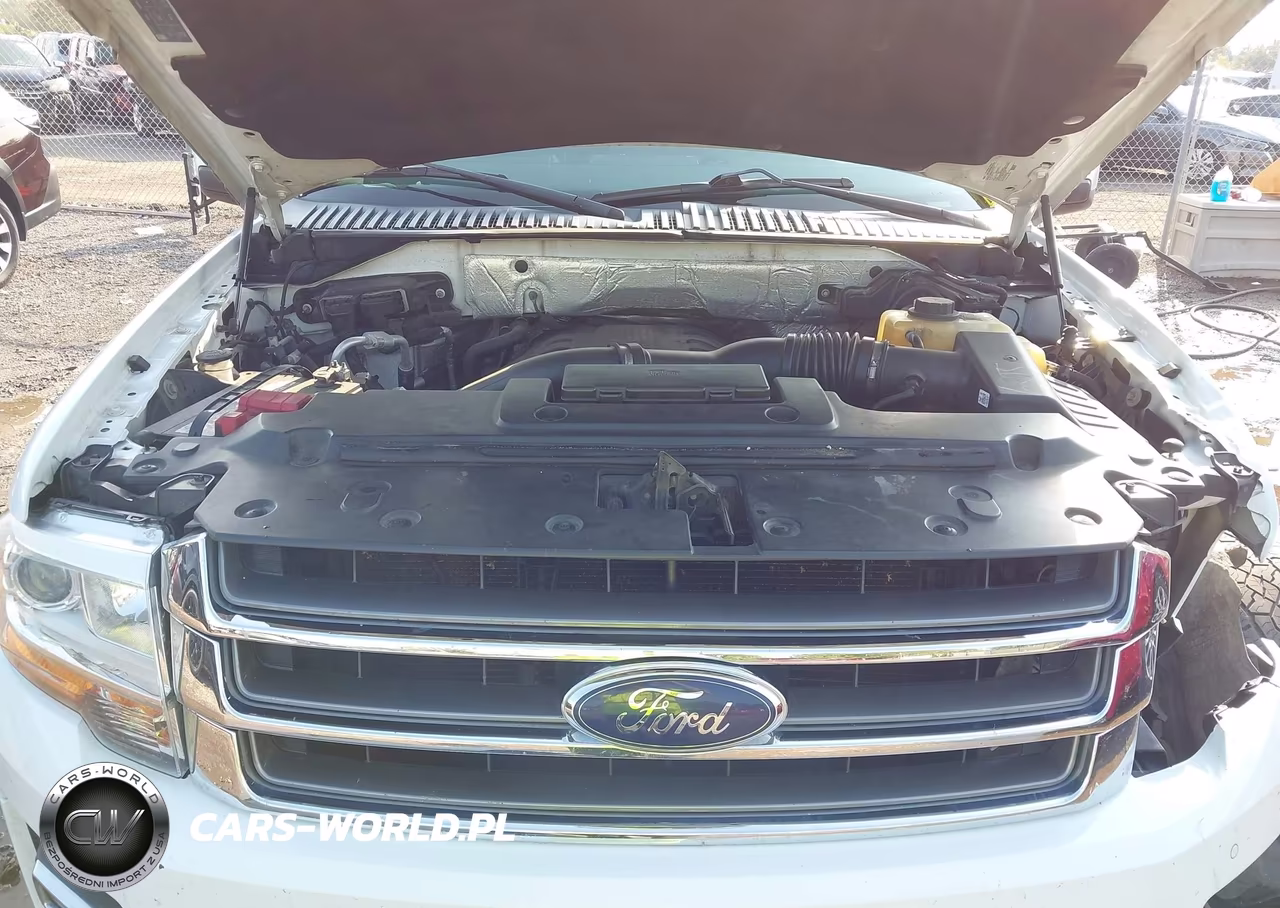 2016 Ford Expedition Limited VIN:1FMJU2AT9GEF50335 - 10
