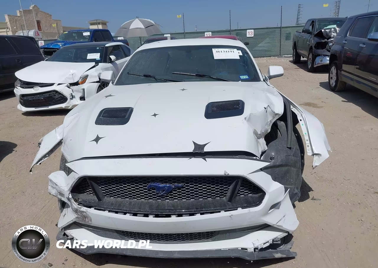 2020 Ford Mustang Gt VIN:1FA6P8CF6L5114148 - 13