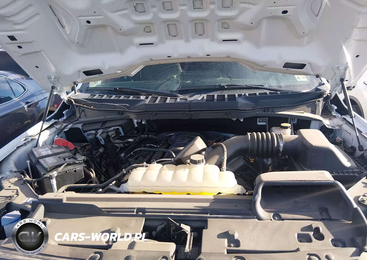 2024 Ford F-150 Xl VIN:1FTFX1L54RKD50462 - 10