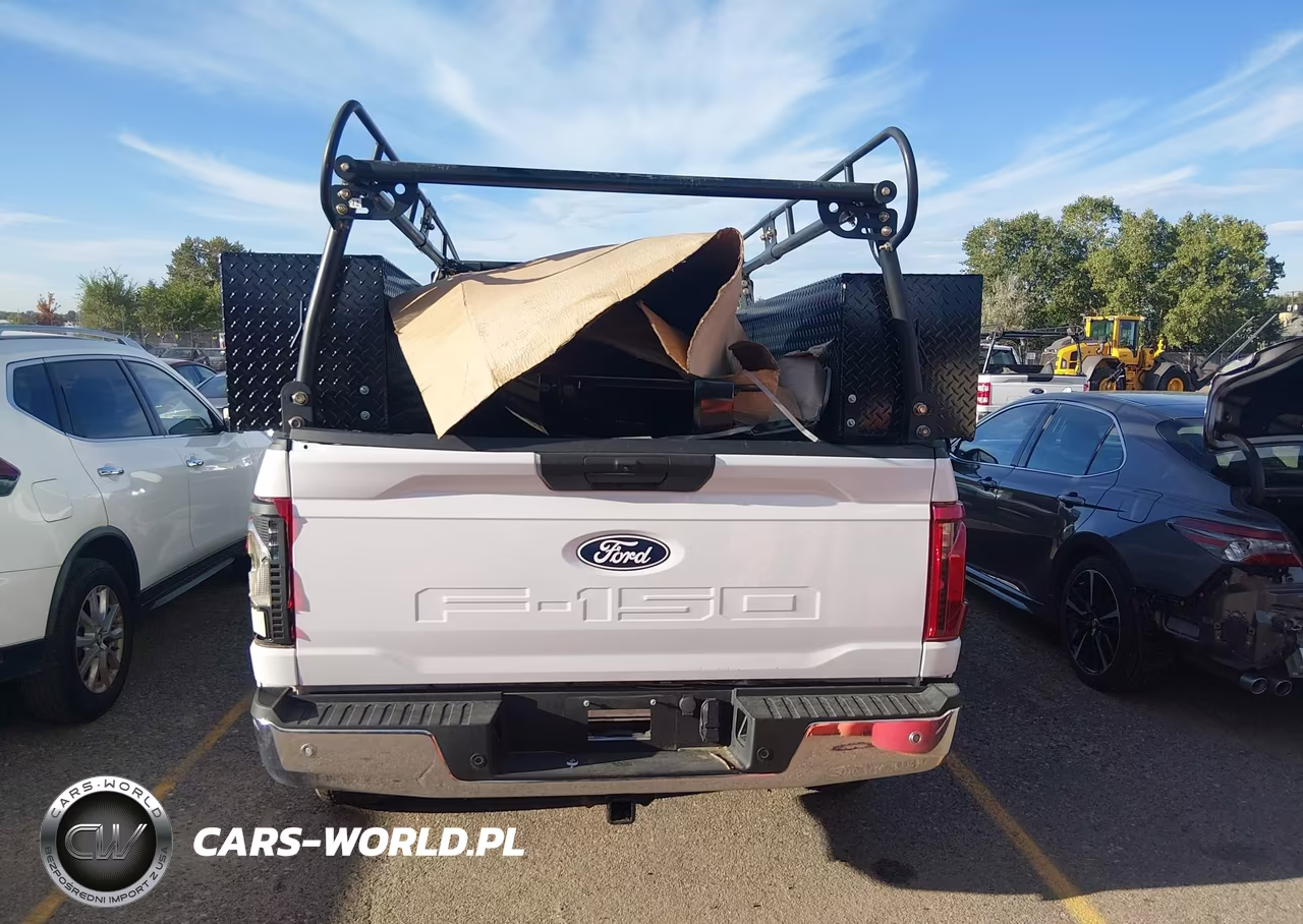 2024 Ford F-150 Xl VIN:1FTFX1L54RKD50462 - 16