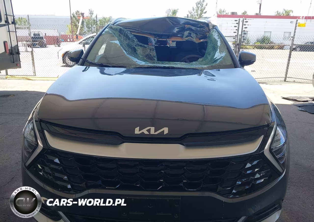 2024 Kia Sportage Ex VIN:5XYK3CDF2RG184333 - 12