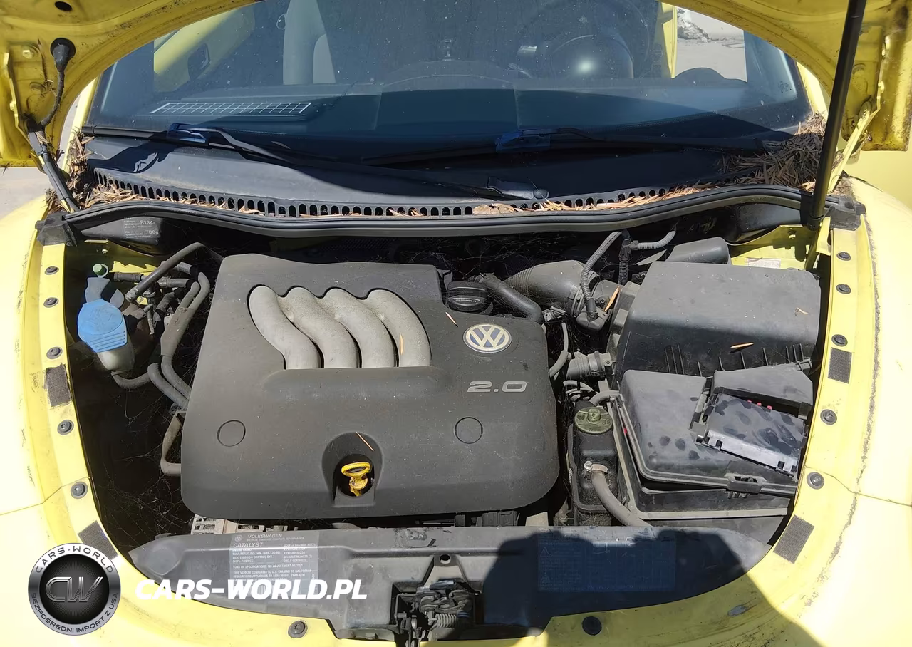 1999 Volkswagen New Beetle Gls VIN:3VWCC21CXXM405456 - 10