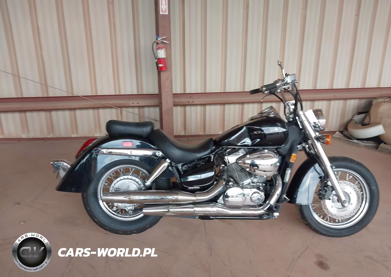 2014 Honda Vt750 C VIN:JH2RC5002EK100289 - 11