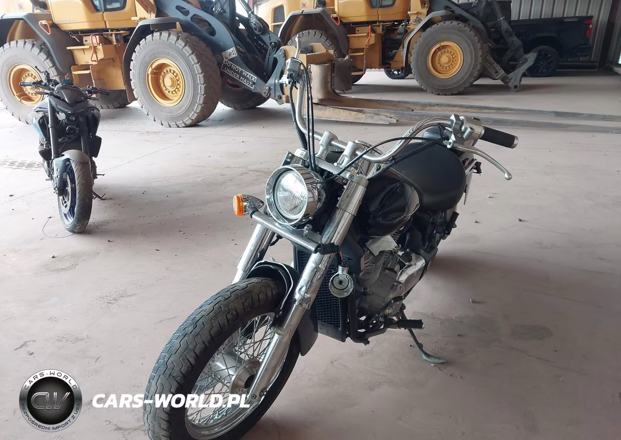 2014 Honda Vt750 C VIN:JH2RC5002EK100289 - 2