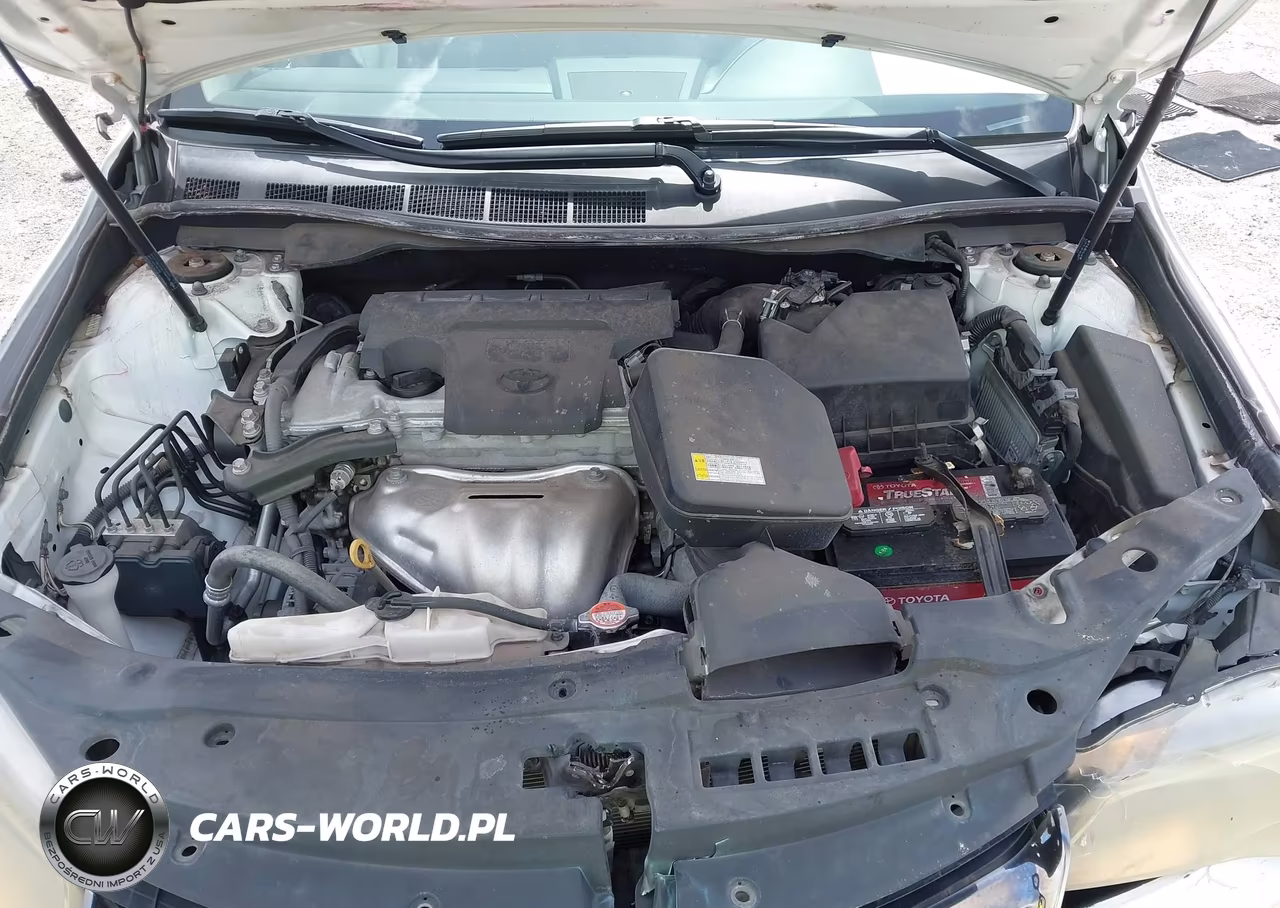 2016 Toyota Camry Se VIN:4T1BF1FK0GU185221 - 10