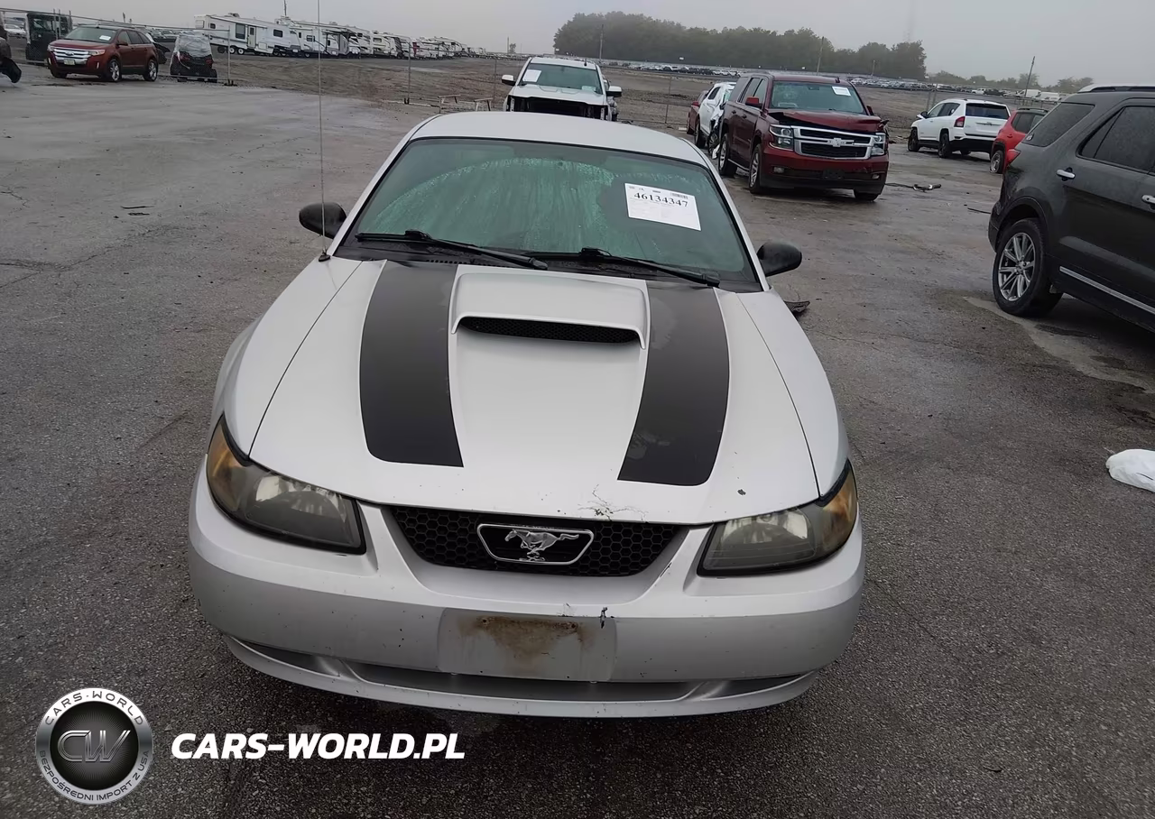 2003 Ford Mustang Gt VIN:1FAFP42X13F415147 - 13