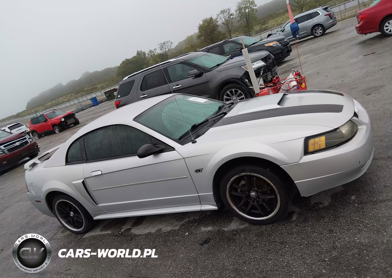 2003 Ford Mustang Gt VIN:1FAFP42X13F415147 - 14