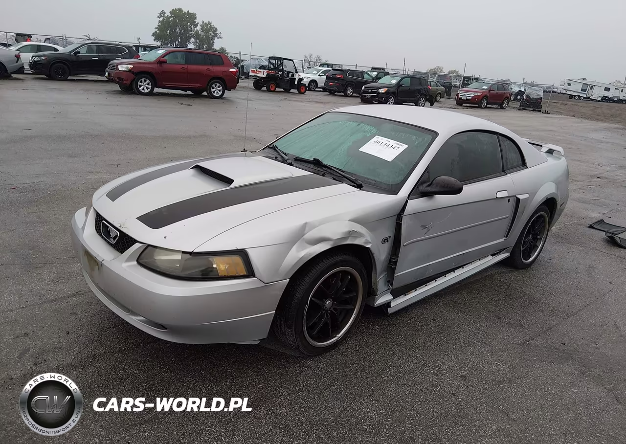 2003 Ford Mustang Gt VIN:1FAFP42X13F415147 - 2