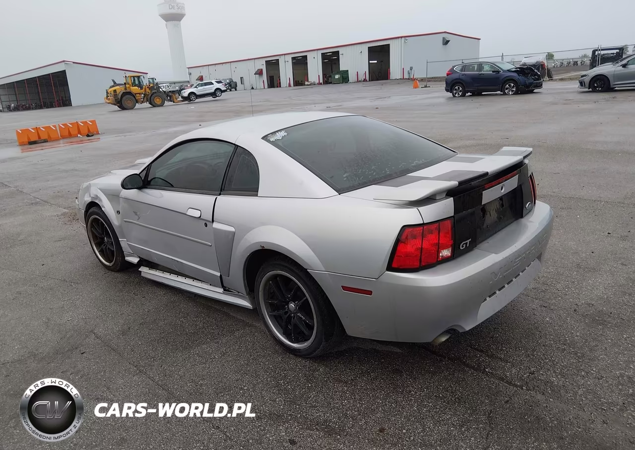 2003 Ford Mustang Gt VIN:1FAFP42X13F415147 - 3