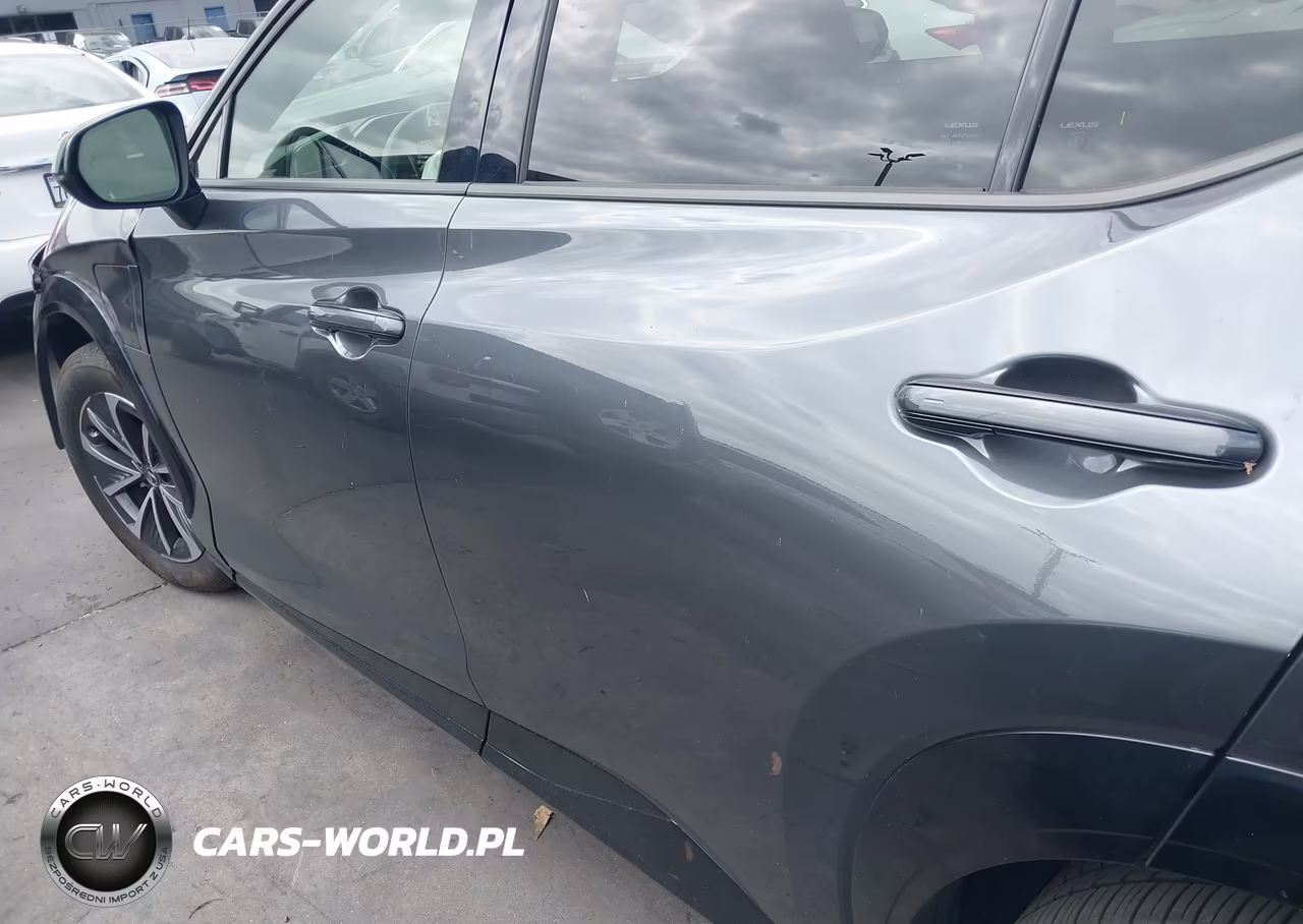 2025 Lexus Rz 300E Premium VIN:JTJABABB7SA009226 - 14