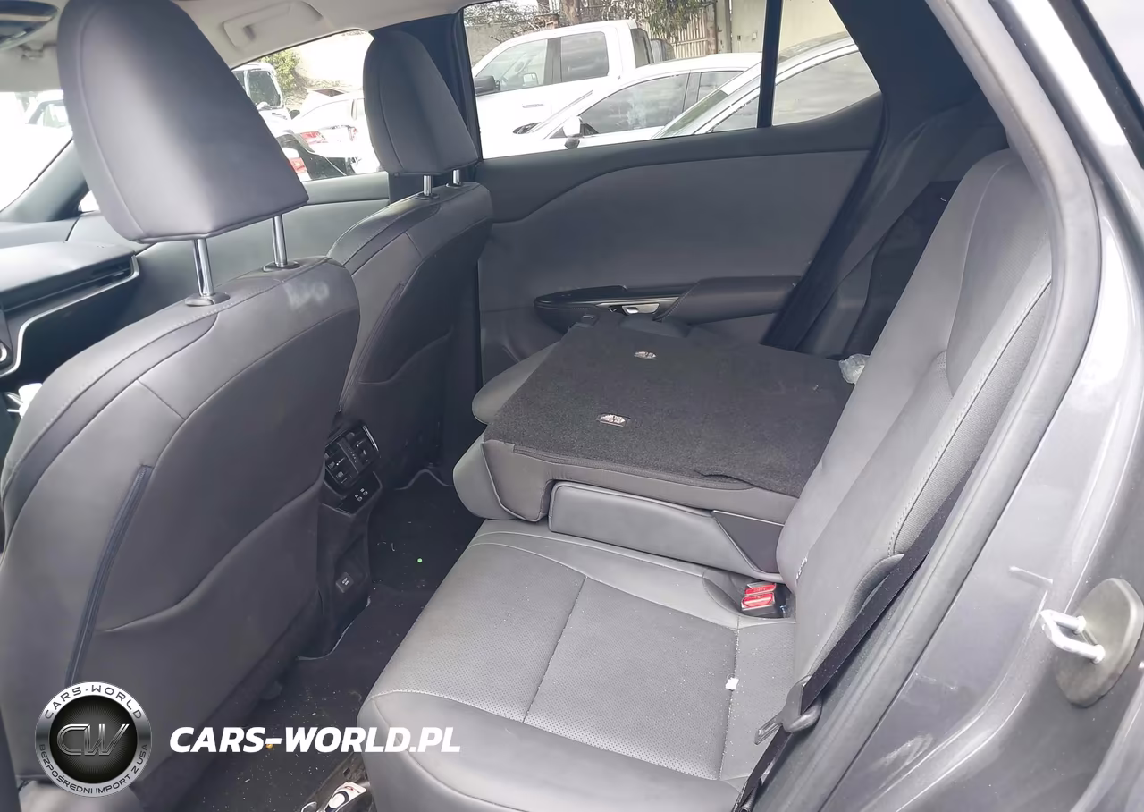 2025 Lexus Rz 300E Premium VIN:JTJABABB7SA009226 - 8