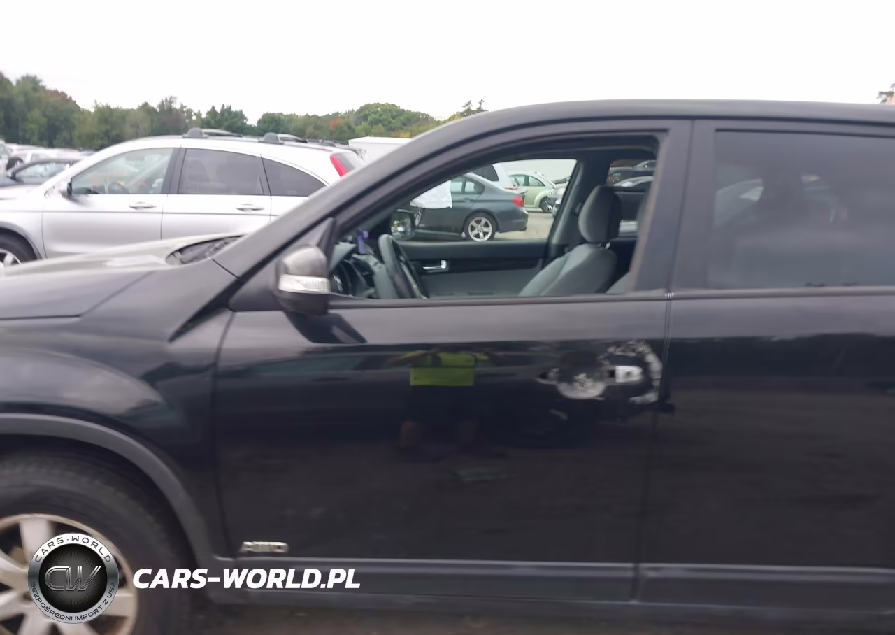 2011 Kia Sorento Lx VIN:5XYKTCA18BG010409 - 13