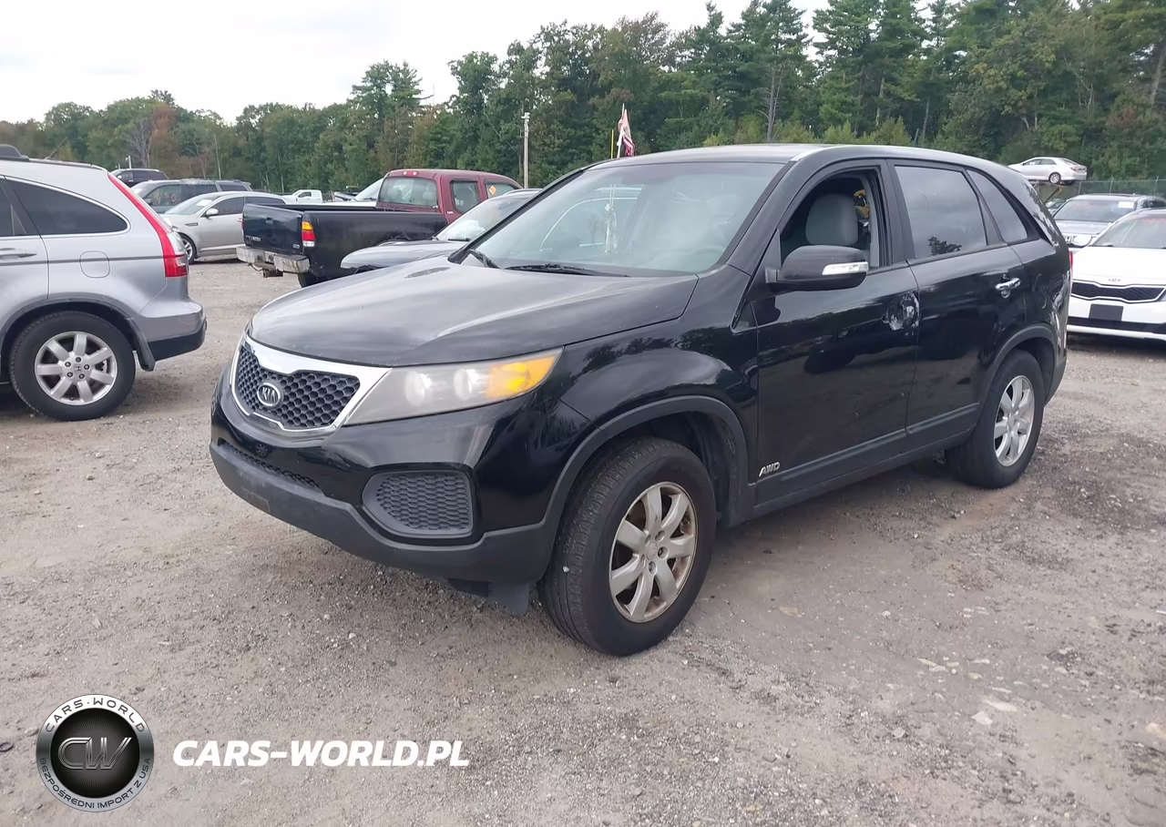 2011 Kia Sorento Lx VIN:5XYKTCA18BG010409 - 2