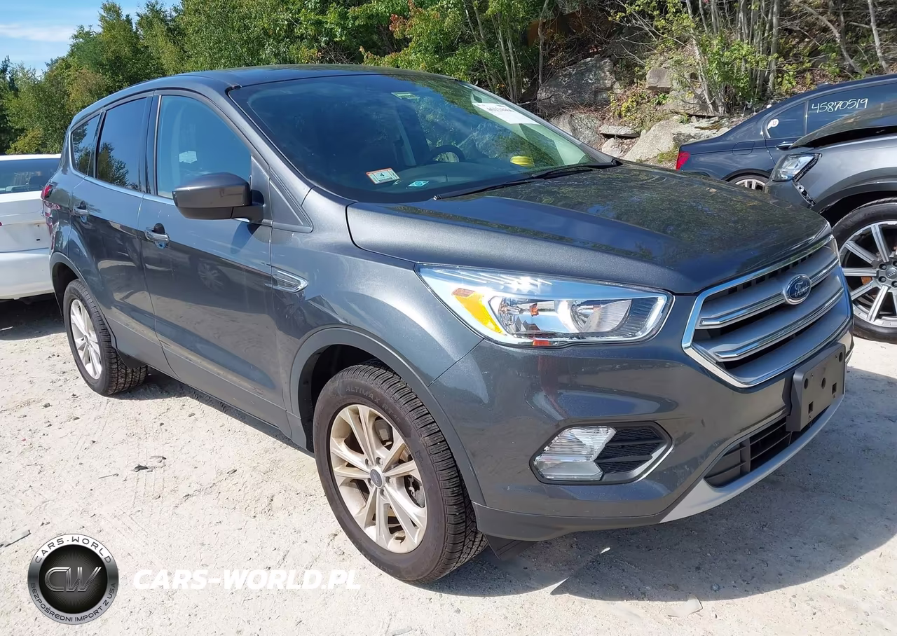 2019 Ford Escape Se