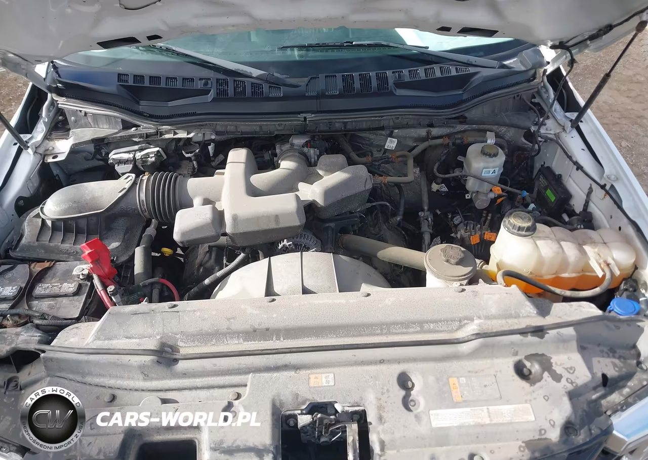 2019 Ford F-250 Xl VIN:1FT7X2B61KEC59951 - 10