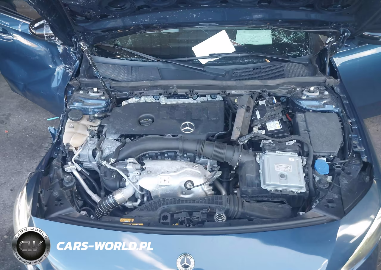 2020 Mercedes-Benz A 220 VIN:WDD3G4EBXLW039227 - 10