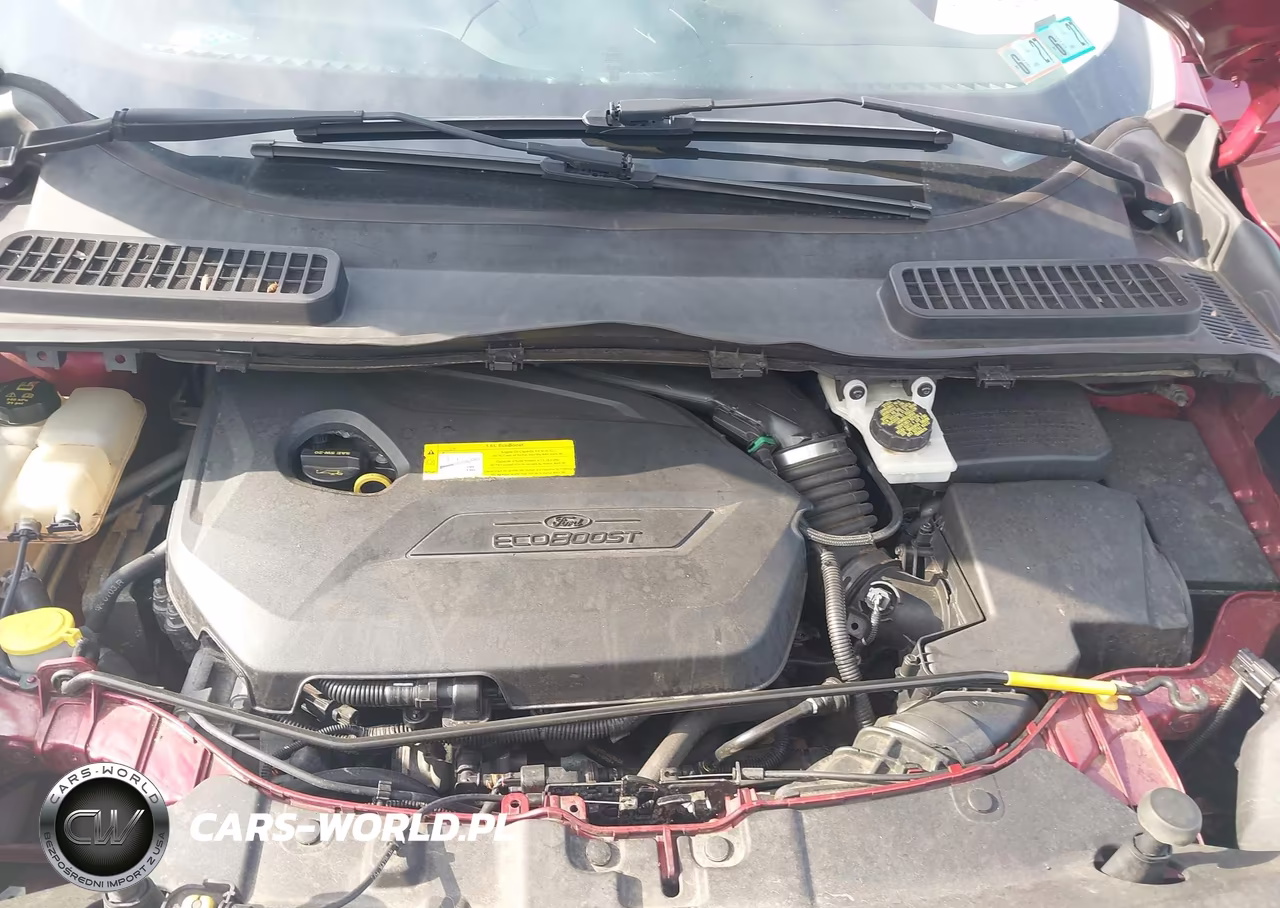 2015 Ford Escape Se VIN:1FMCU0GX6FUA97948 - 10