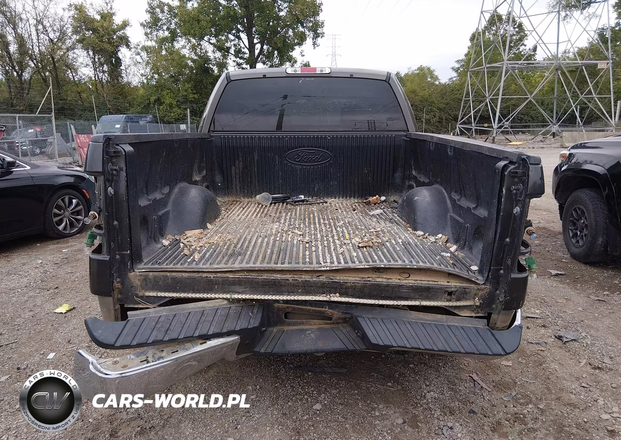 2005 Ford F-150 Fx4-Lariat-Xl-Xlt VIN:1FTPX14575NA66447 - 17