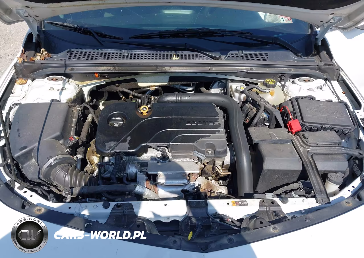 2019 Chevrolet Malibu Lt VIN:1G1ZD5ST2KF152094 - 10