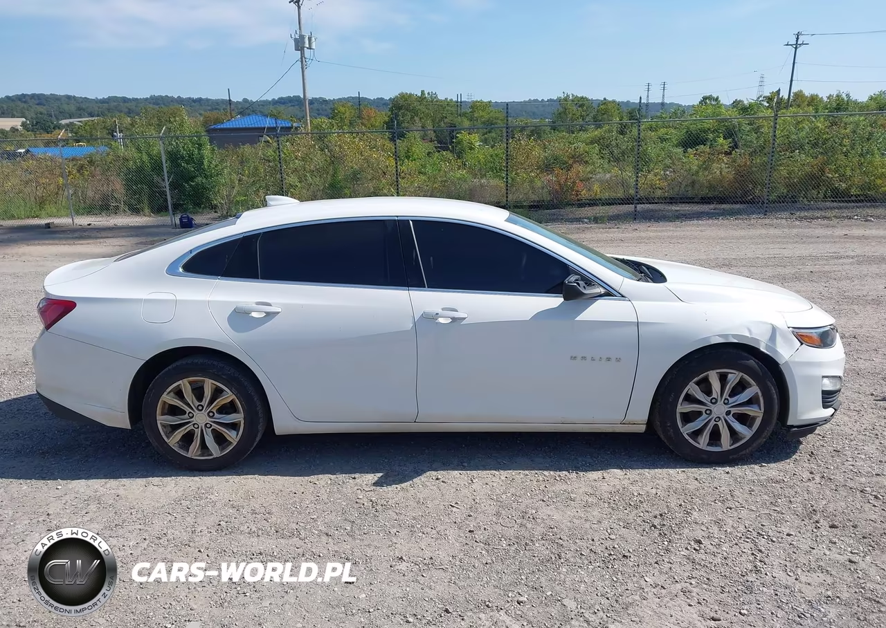 2019 Chevrolet Malibu Lt VIN:1G1ZD5ST2KF152094 - 13