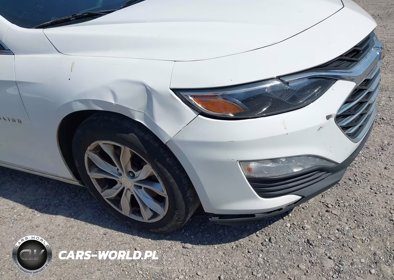2019 Chevrolet Malibu Lt VIN:1G1ZD5ST2KF152094 - 17