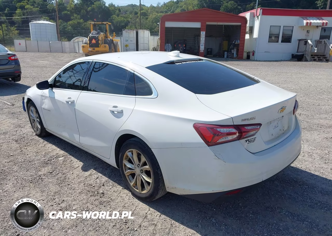 2019 Chevrolet Malibu Lt VIN:1G1ZD5ST2KF152094 - 3