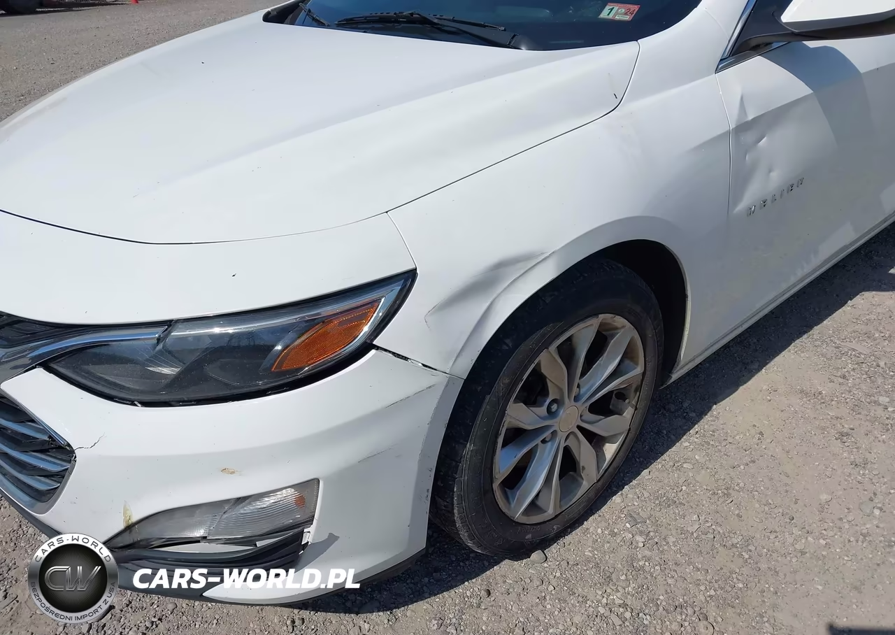 2019 Chevrolet Malibu Lt VIN:1G1ZD5ST2KF152094 - 6