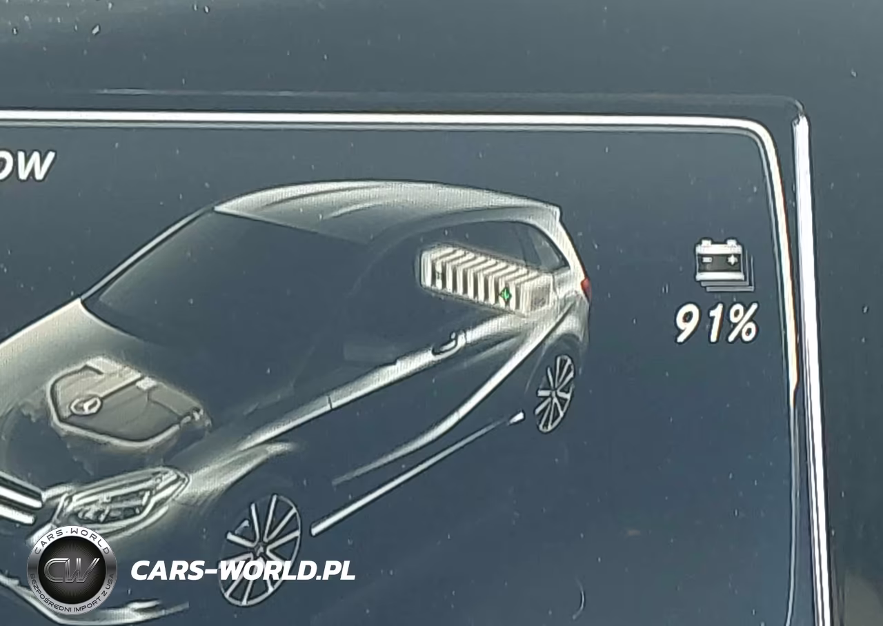 2017 Mercedes-Benz B 250E VIN:WDDVP9AB5HJ012050 - 17