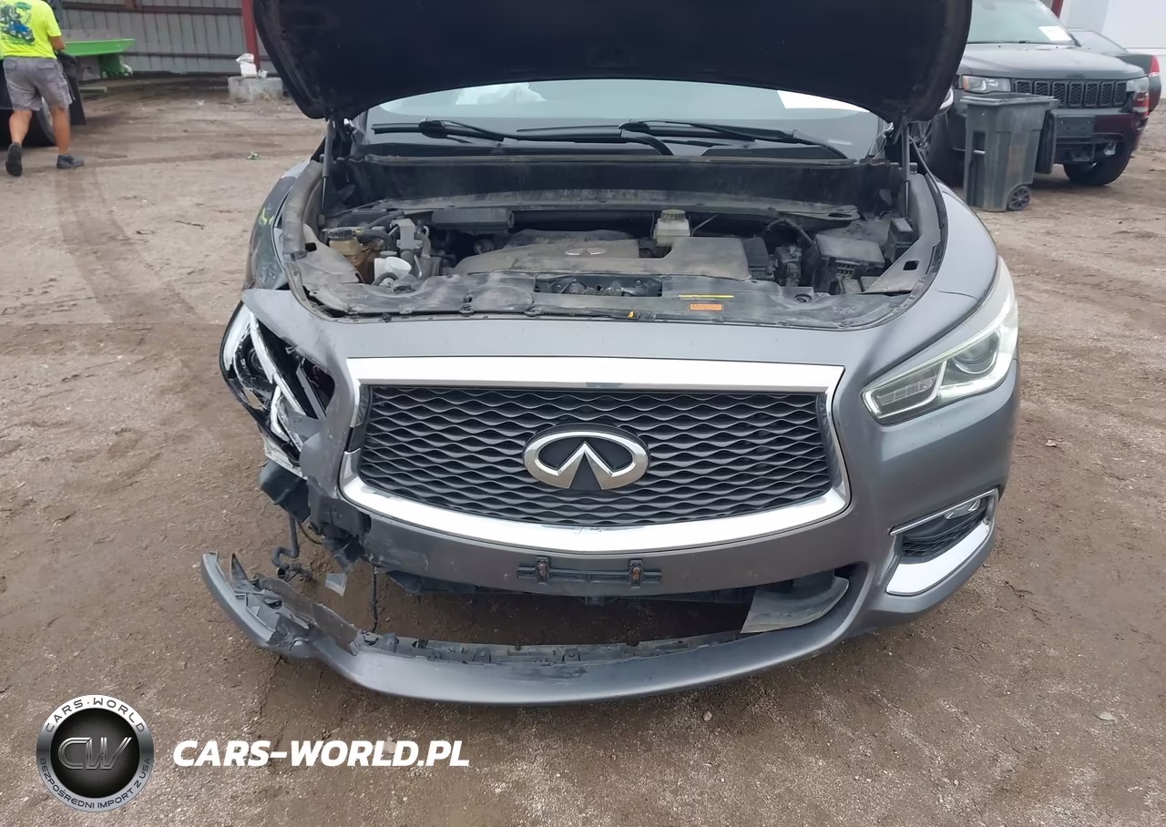2019 Infiniti Qx60 Luxe-Pure VIN:5N1DL0MM2KC507937 - 10