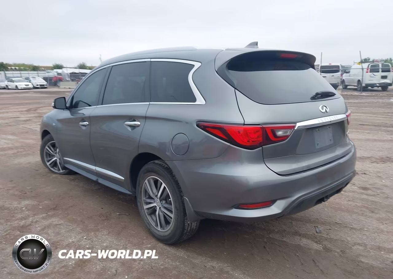2019 Infiniti Qx60 Luxe-Pure VIN:5N1DL0MM2KC507937 - 3