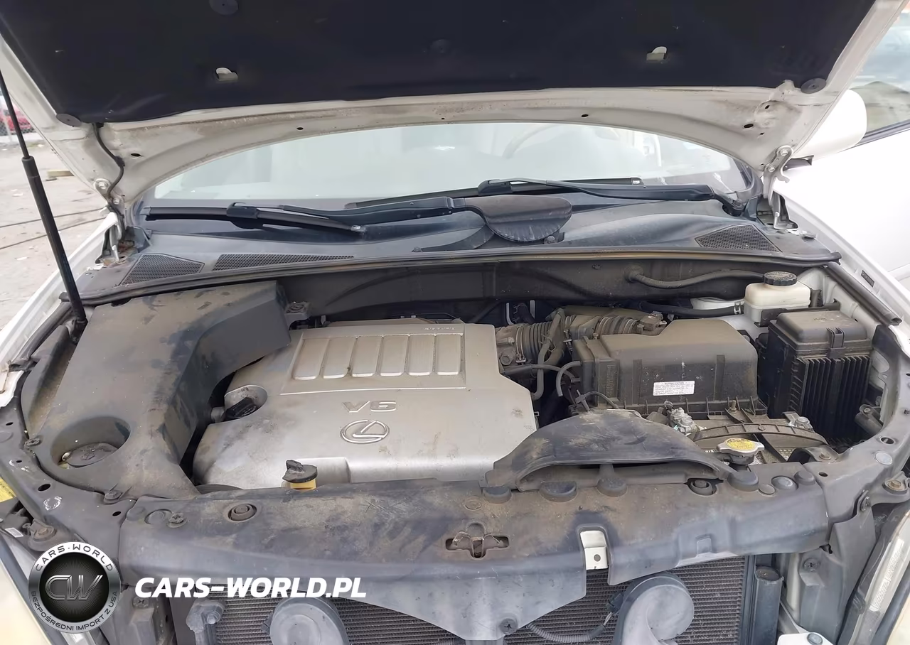 2007 Lexus Rx 350 VIN:2T2HK31U07C043068 - 10
