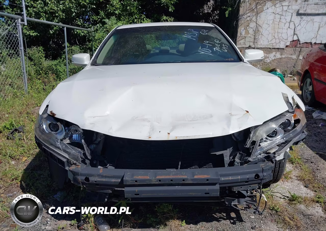 2013 Honda Accord Ex VIN:1HGCT1B76DA013342 - 13