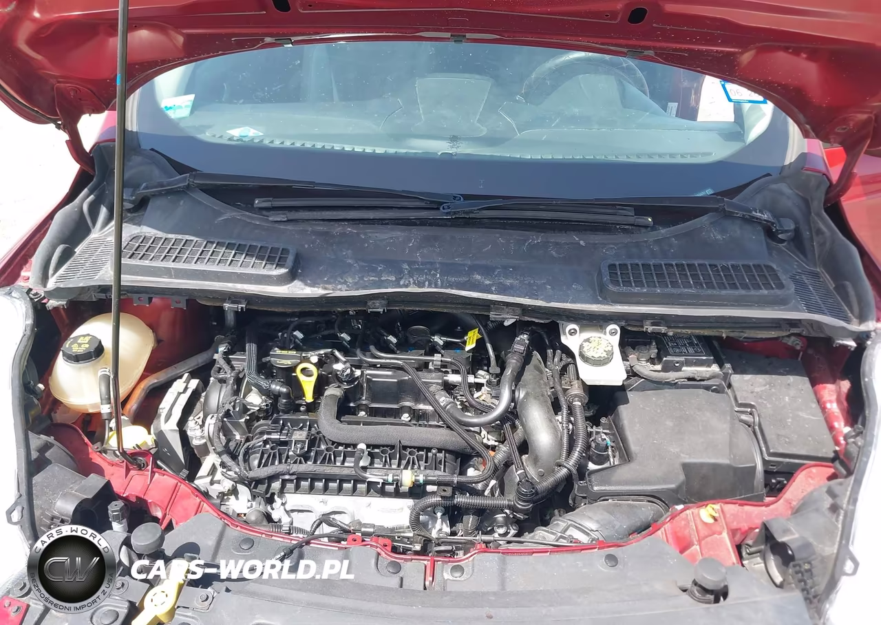 2019 Ford Escape Se VIN:1FMCU0GD5KUA34291 - 10