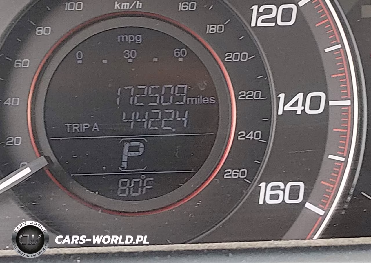 2013 Honda Accord Ex-L VIN:1HGCT1B88DA024657 - 15