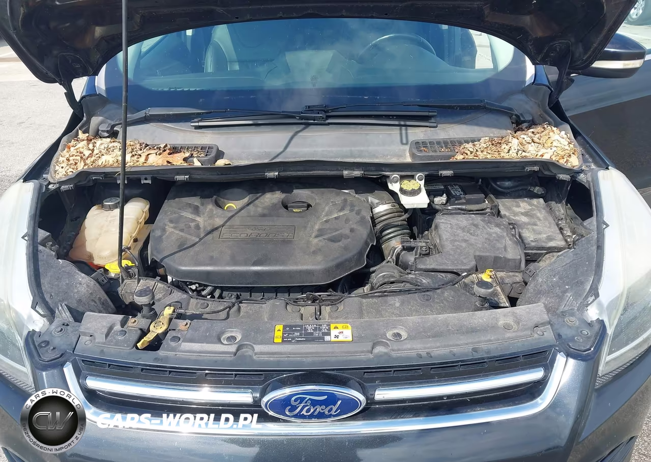2013 Ford Escape Titanium VIN:1FMCU9J90DUB38005 - 10